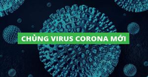 Cập nhật tình hình dịch Corona tại Việt Nam